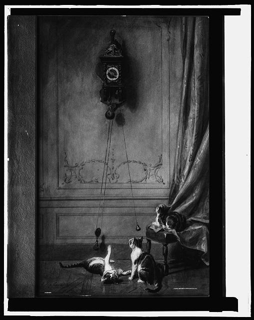 [Cats at play]