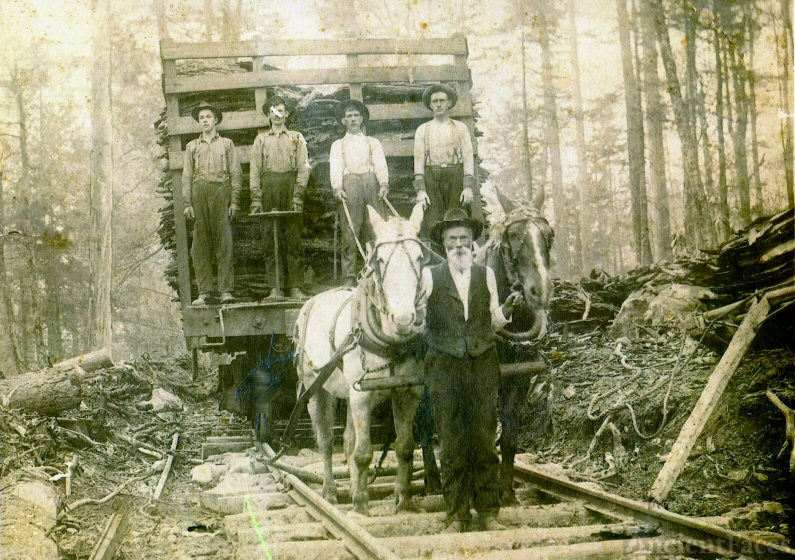 Logging in West Virginia