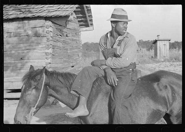 Strawberry picker, Hammond, Louisiana