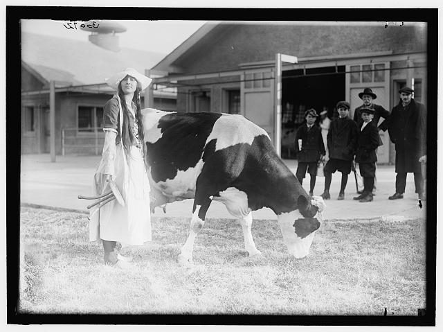ECKLES, VIRGINIA. IN DUTCH DAIRY-MAID COSTUME, WITH COW
