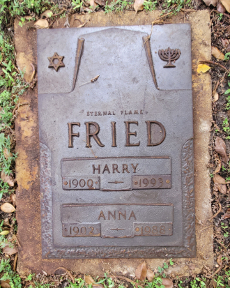 A photo of Harry Fried