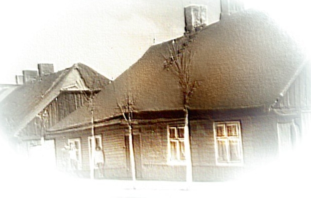 Maslinski Family House, Poland 1970