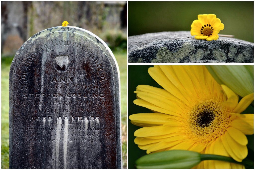 Ann Hurry gravesite