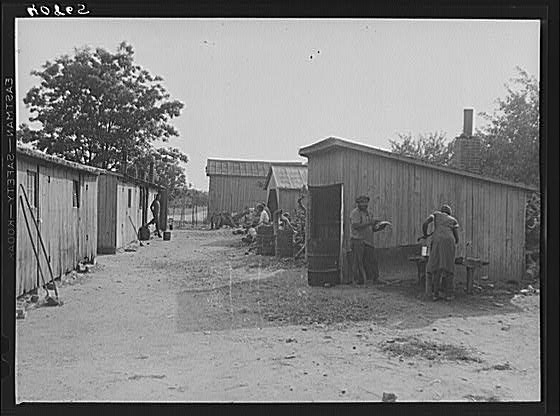 Camp of migratory agricultural workers during the apple...