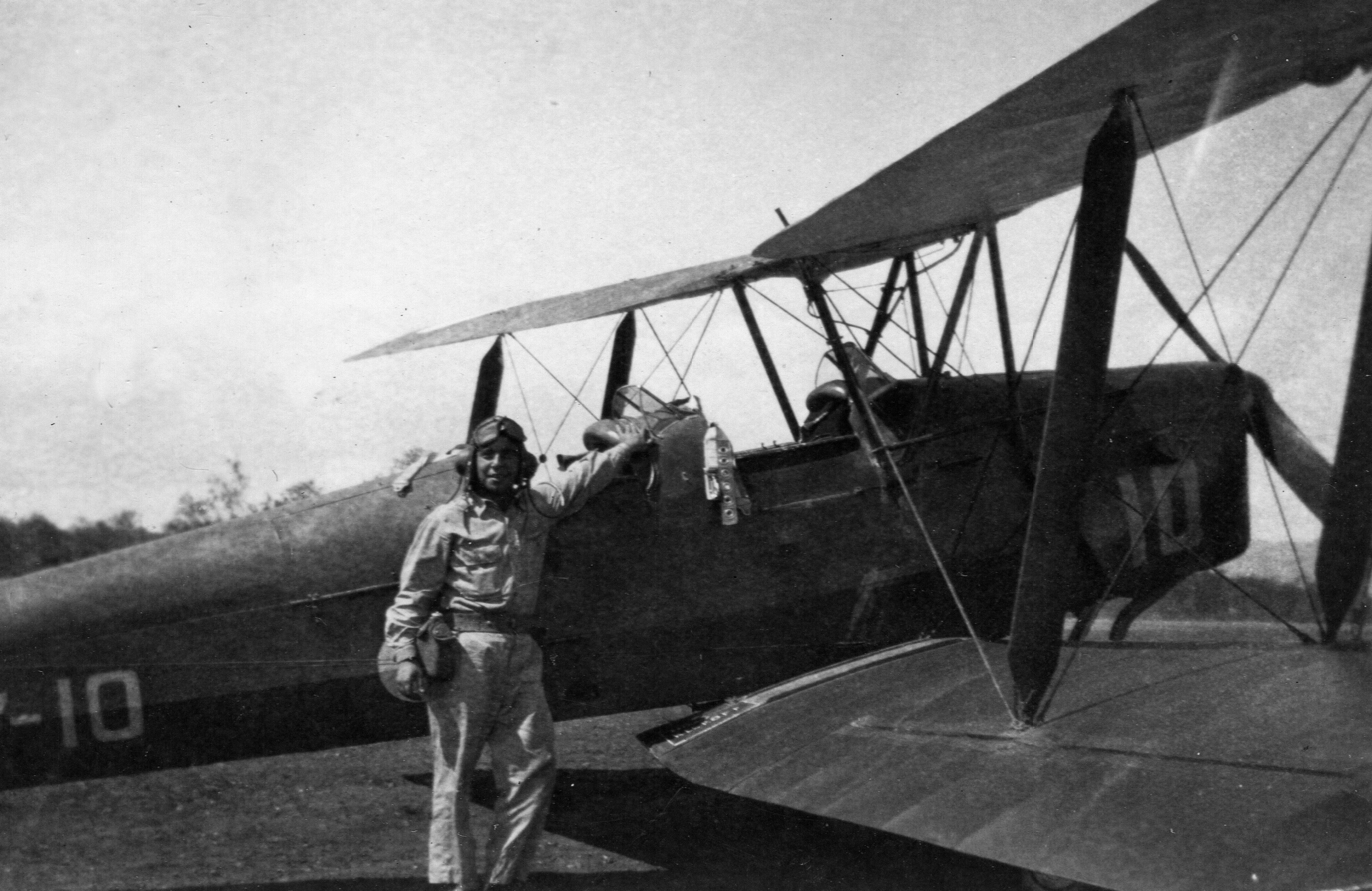 Aussie Tiger Moth