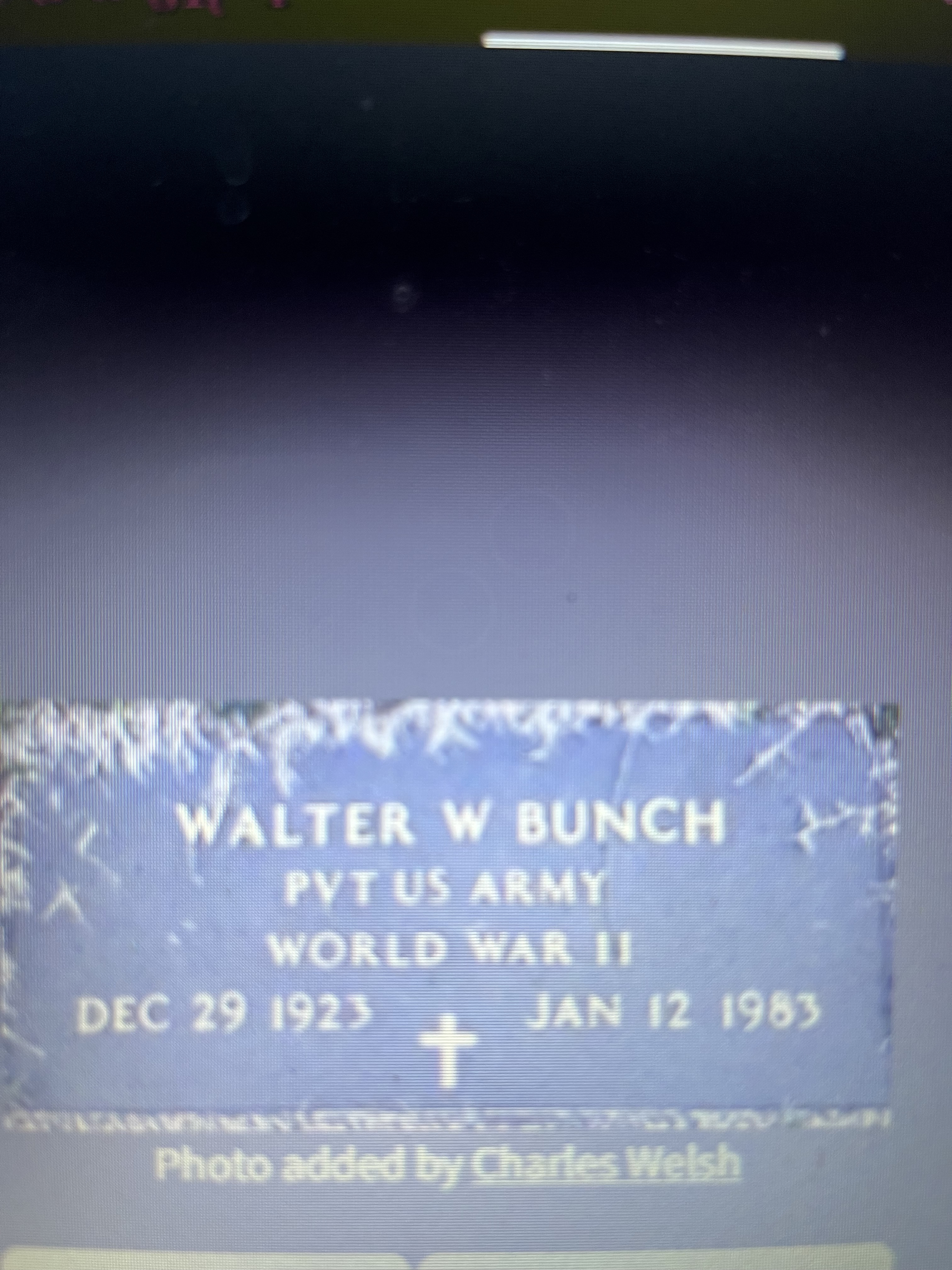 Walter Wheat Bunch