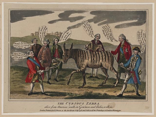 The curious zebra - alive from America! walk in gem'men...
