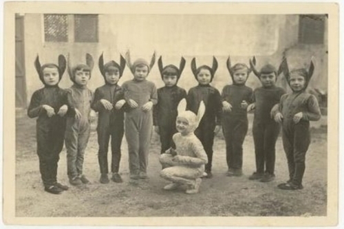 Halloween bunnies