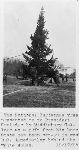 The National Christmas Tree, 1923