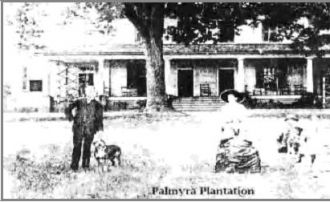 Palmyra Plantation