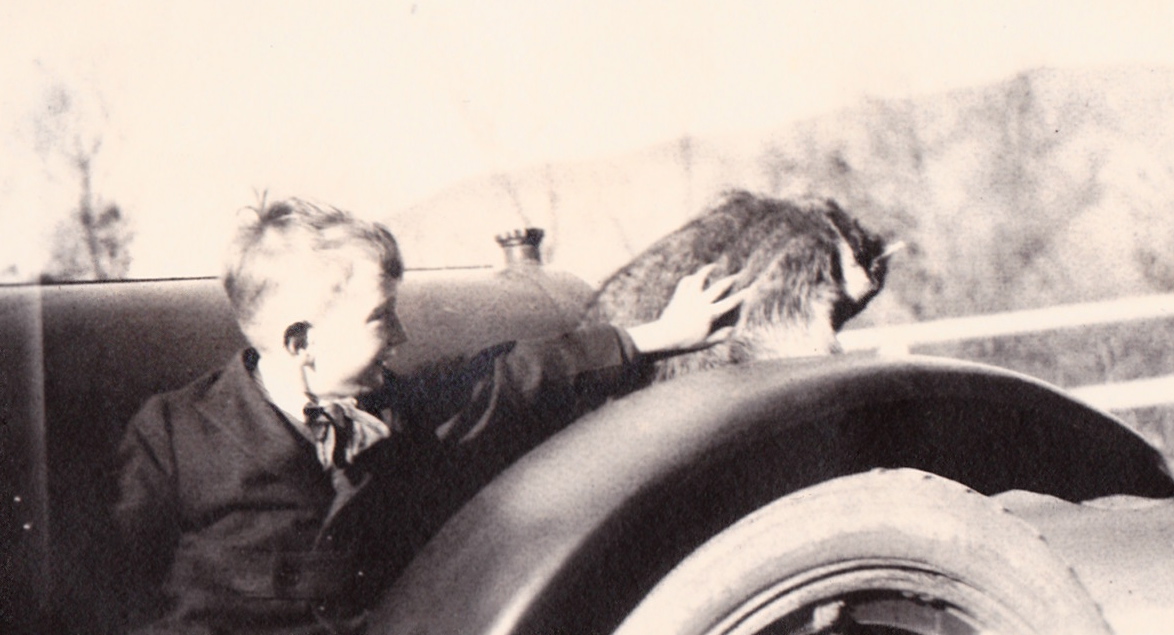 Boy petting cat on car
