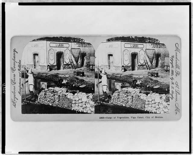 Cargo of vegetables, Viga Canal, City of Mexico
