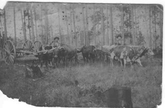 Logging with oxen