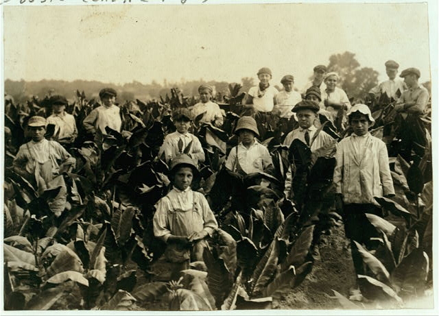 Field-workers, Goodrich Tobacco Farm, near Gildersleeve,...