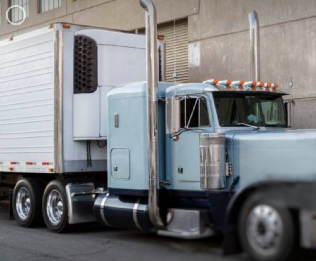 ol#600 O/O Graeme Shallcrass Trucking 
