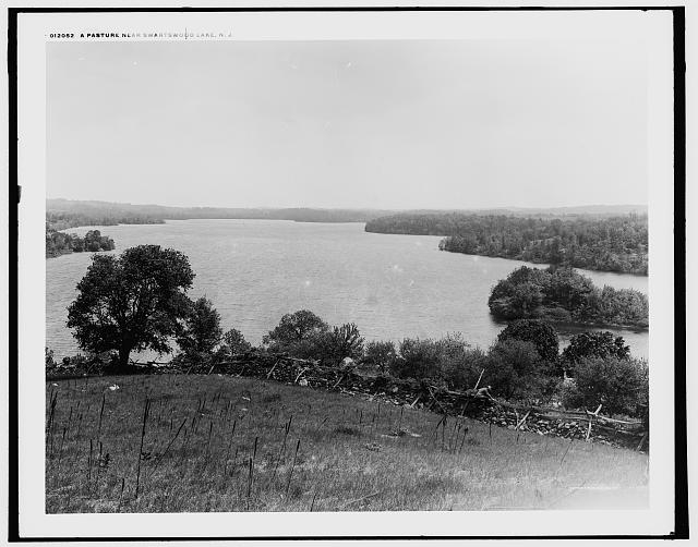 Pasture near Swartswood Lake, N.J.