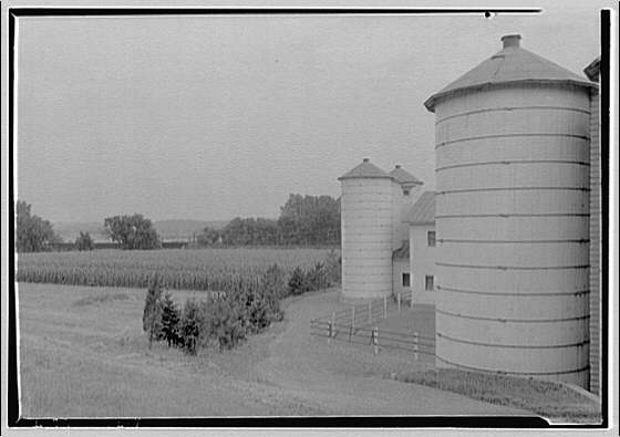 Farming scenes. Silos and corn field
