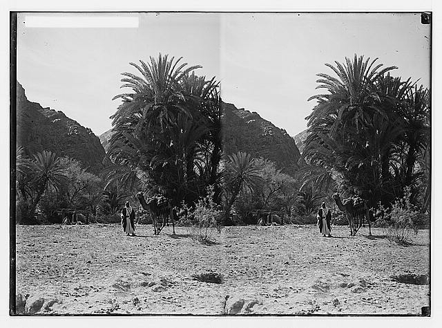 To Sinai via the desert. Scene in Wady Feiran.
