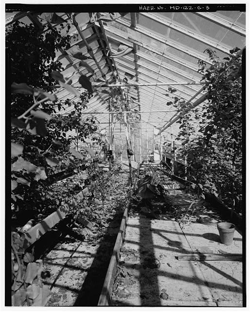 3. VIEW NORTH, INTERIOR OF GREENHOUSE #1 (BUILDING 5),...
