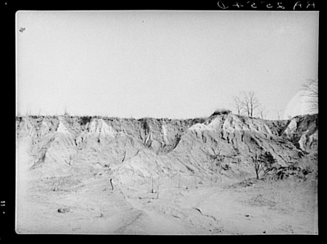 Erosion gully on Coalins Forest and Game Reservation...