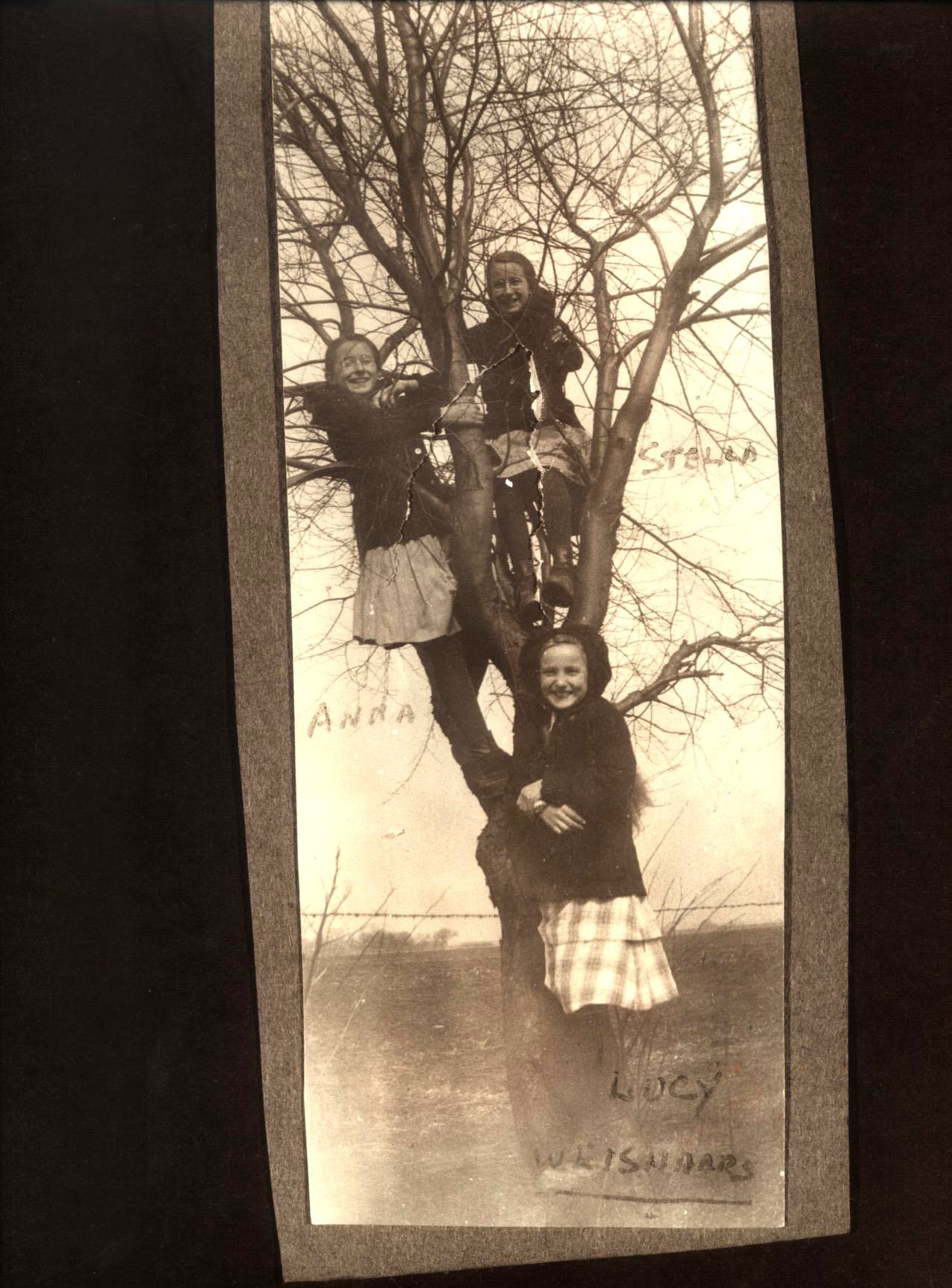 Lucy, Stella, & Anna Weishaar, Illinois 1912