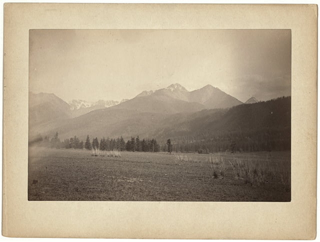 View in the Altai Mts near Altai Station