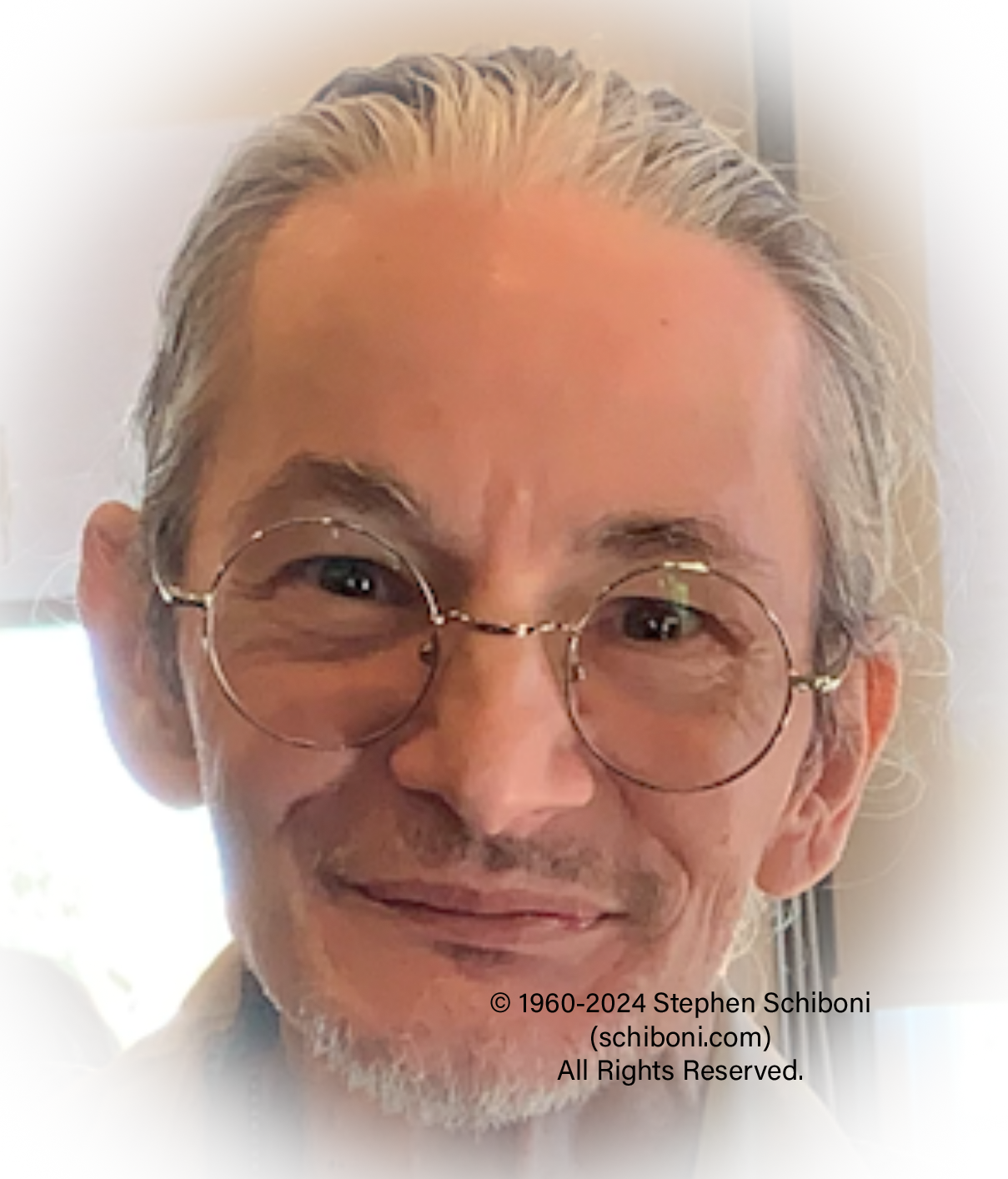 Stephen Schiboni