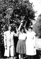 Anna Mae, Dorothy & Ruth Pealy