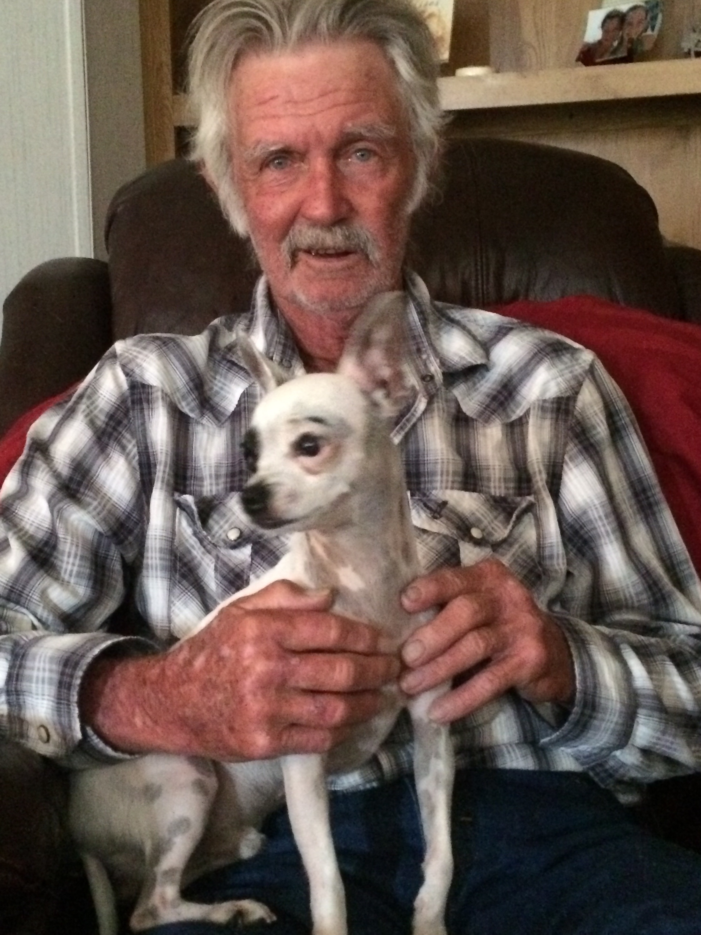 David Dewaynne Whittle 