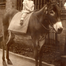 A photo of Jay Monroe Smith Knell