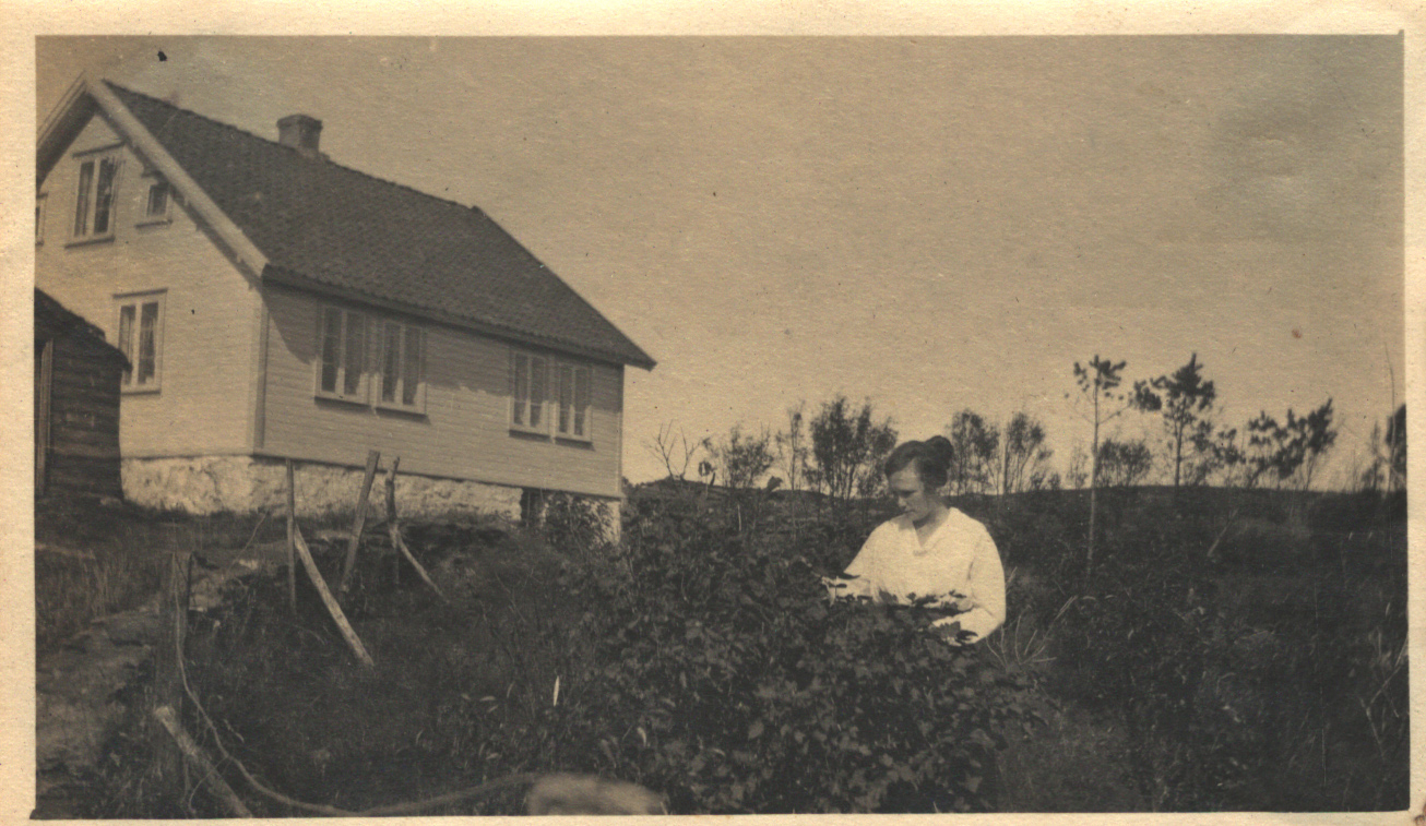 Yardwork