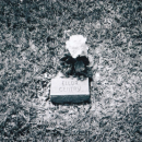 A photo of Ellor Gentry