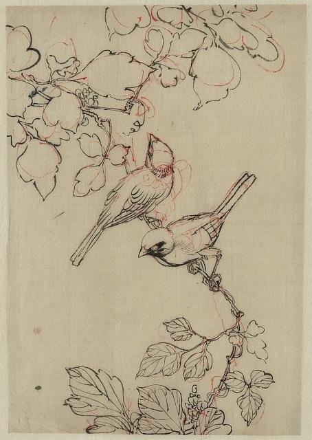 [Two birds perched on grapevines]