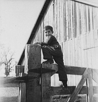 George Dimotakis at his family farm