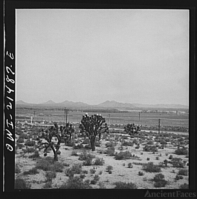 Victorville (vicinity), California. Climbing the...