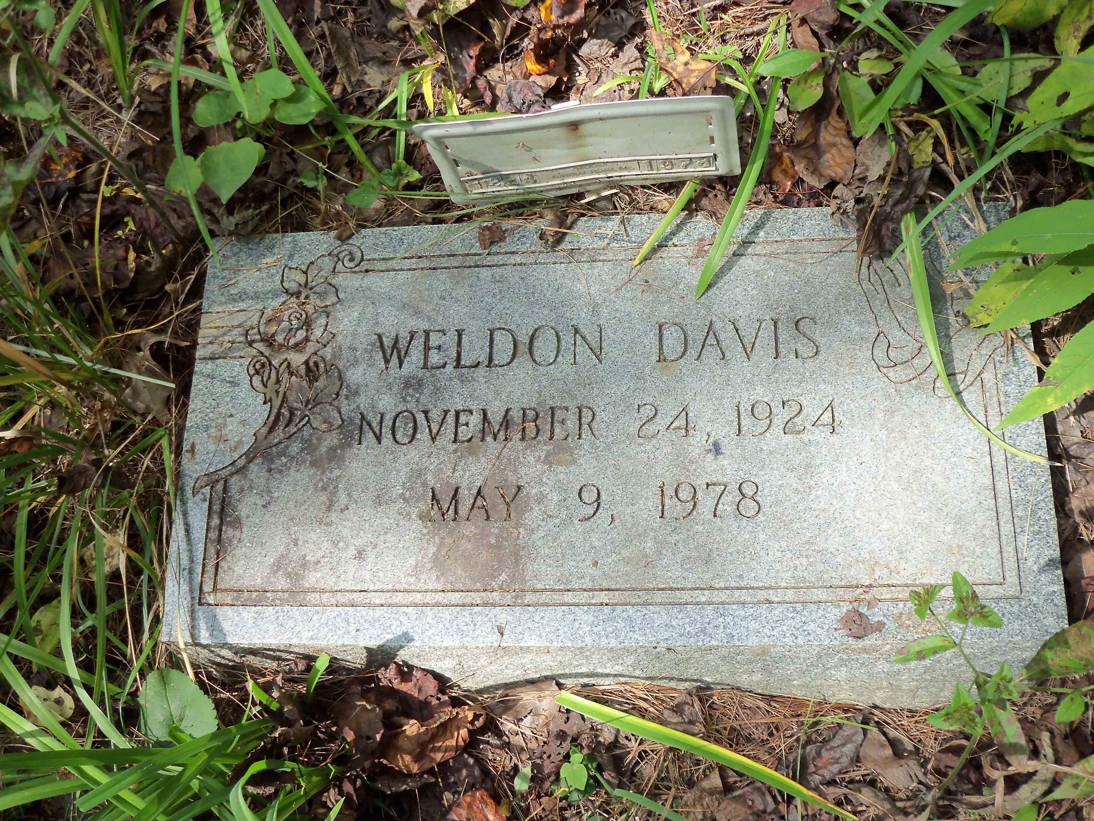 Weldon Davis Grave, West Virginia