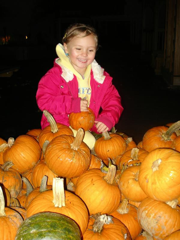 Pumpkin Patch
