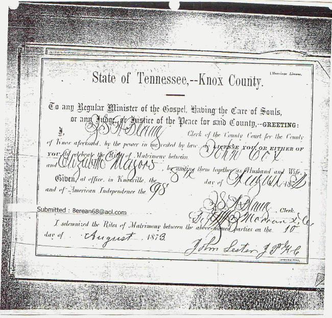 1873  Marriage License - John Cox/Elizabeth Major