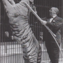 A photo of Adolf Althoff