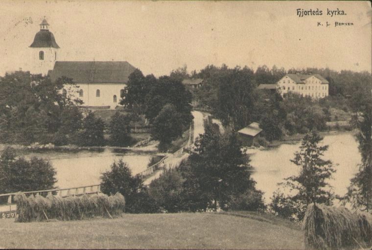Hjorted Kryka