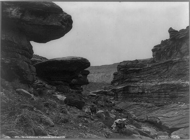 Toadstools, Topocobya Canyon