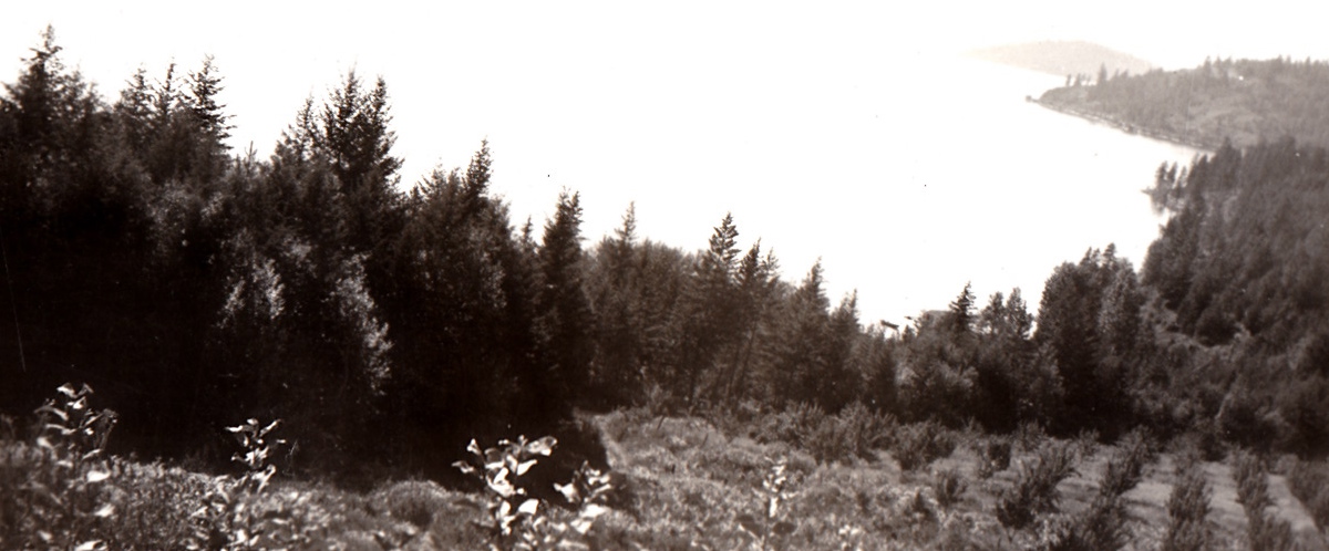 Unknown Landscape