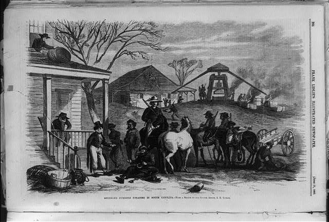 Sherman's bummers foraging in South Carolina