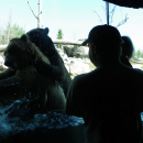2 Bears At The Zoo