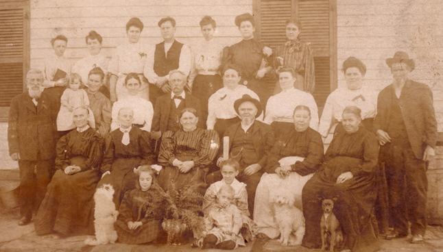 Unknown Fick-Ginther family