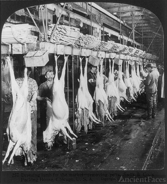 Chicago - Meat Packing Industry - Swift & Co.'s Packing...
