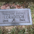 William Loraditch