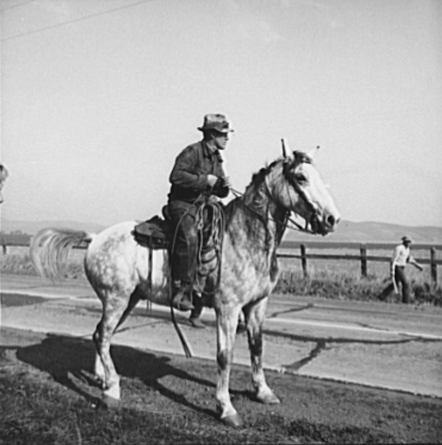 Contra Costa County Cowboy 1938