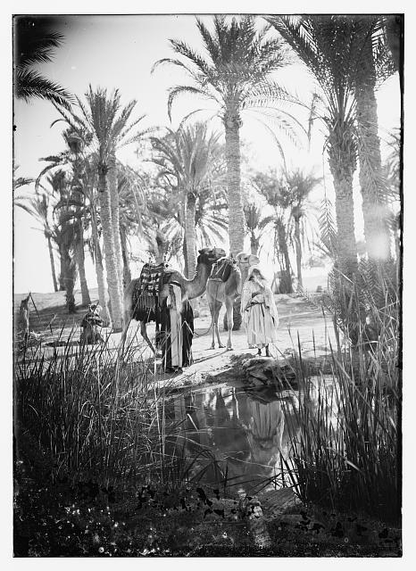 Sinai