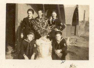 Five Sailors & A Tree
